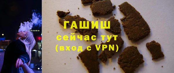 шишки Няндома