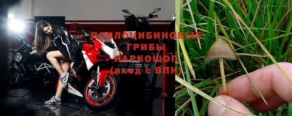 каннабис Аркадак