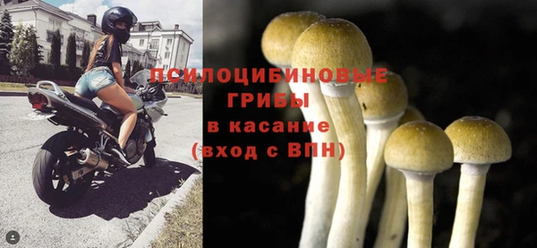 каннабис Аркадак