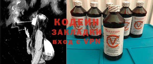 шишки Няндома